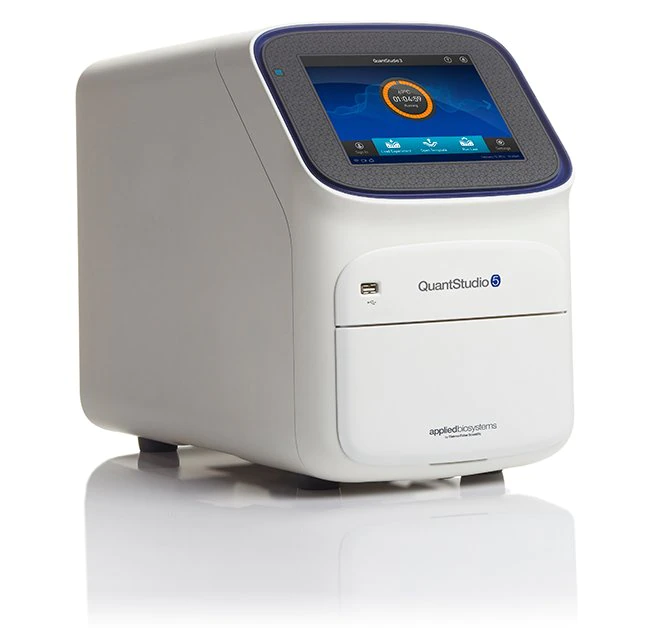 Thermo Real Time PCR